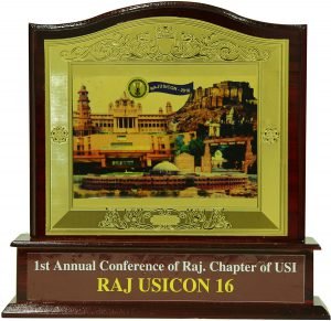 1st annual conference of Raj. Chapter of USI