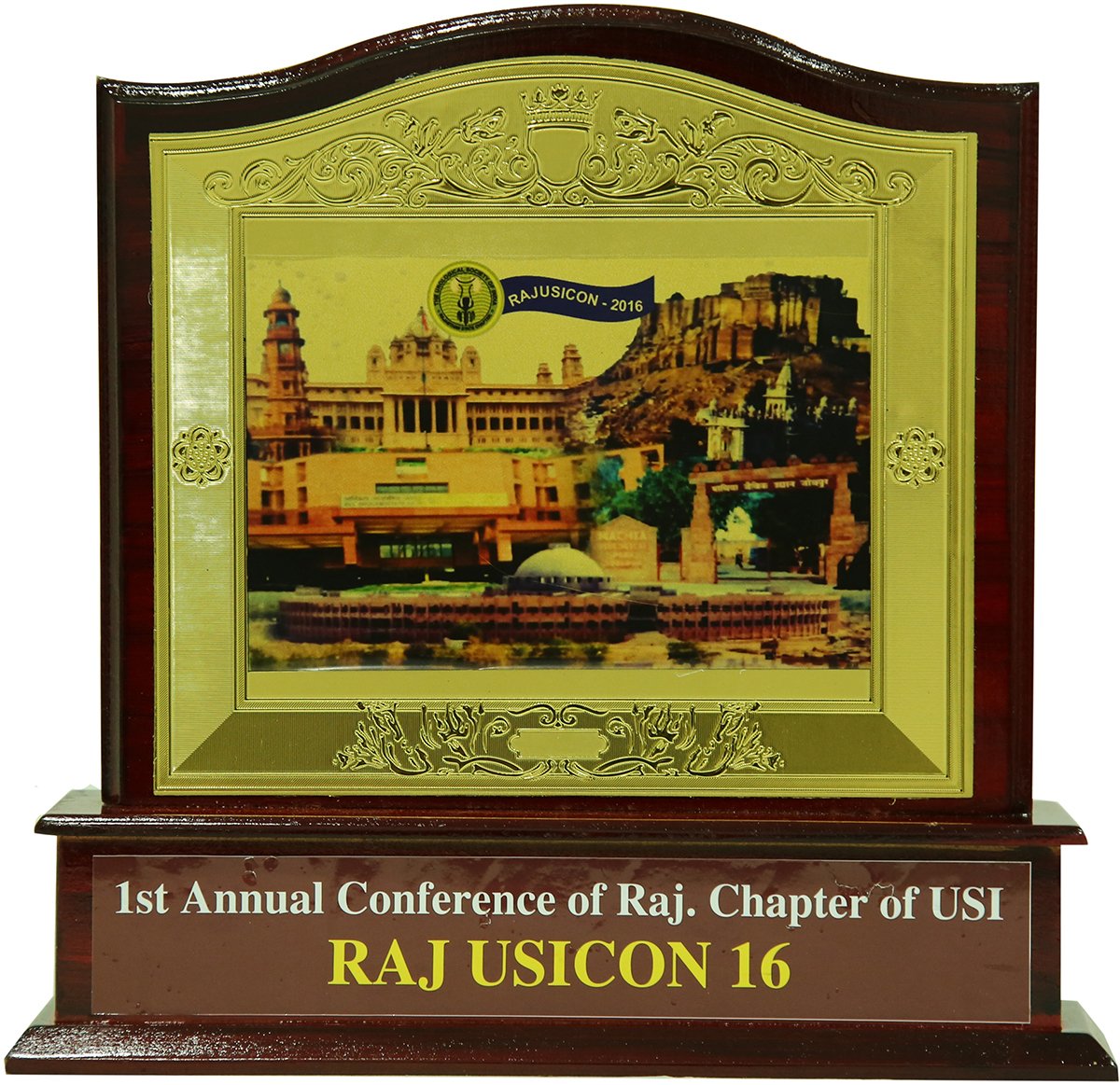 1st annual conference of Raj. Chapter of USI